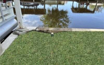 Bulkhead Erosion Repair