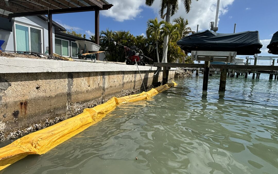 Treasure Island – Seawall Erosion Repair