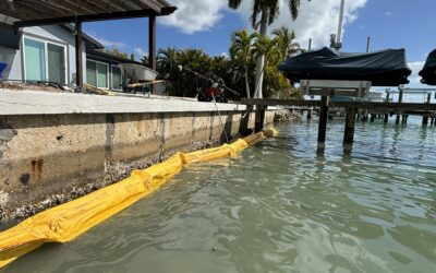 Treasure Island – Seawall Erosion Repair